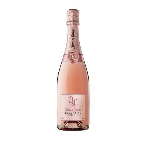 Juvé & Camps Essential Rosé